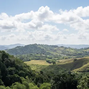 https://hacienda-margarita.top-hotels-puertorico.com